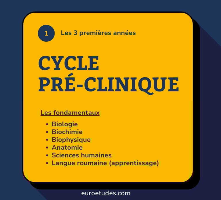 Schéma des enseignements fondamentaux appris lors d'études dentaire en Roumanie