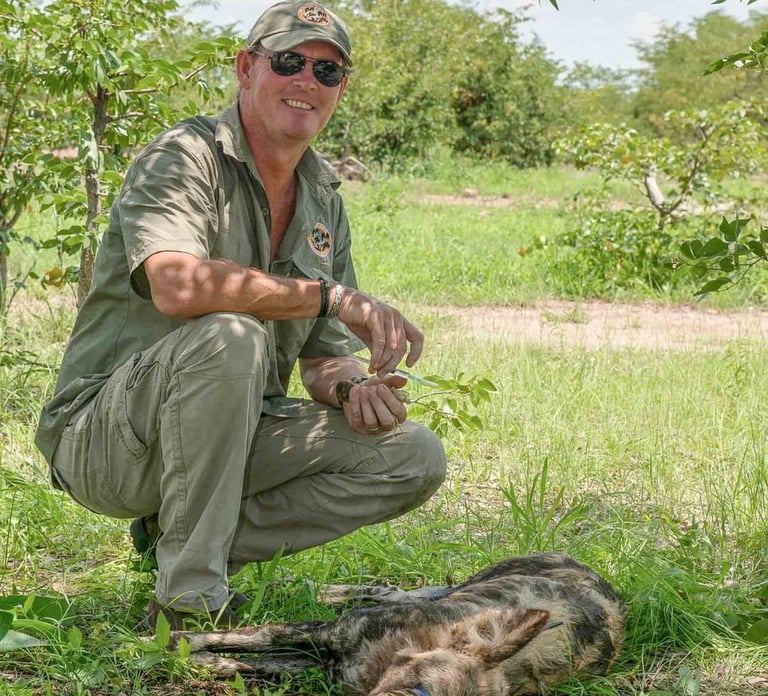 Peter Blinston with immobilised Wild Dog in which bush