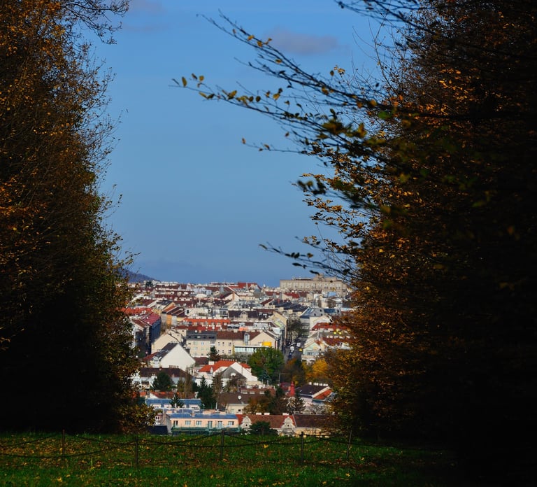 expert bâtiment à Sarrebourg