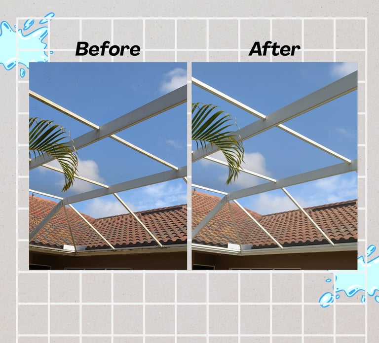 Pool Cage Power Washing Palm Harbor Florida