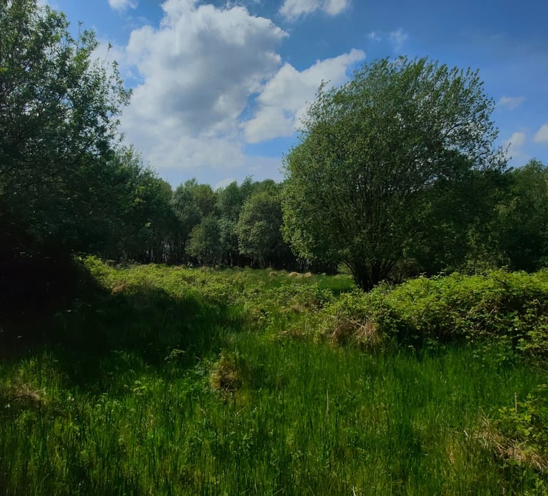 Luxury Glamping Pod Site based in County Fermanagh Northern Ireland