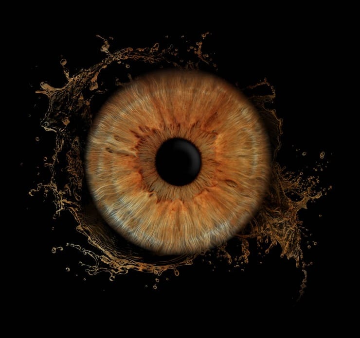 Iris Yeux Marron