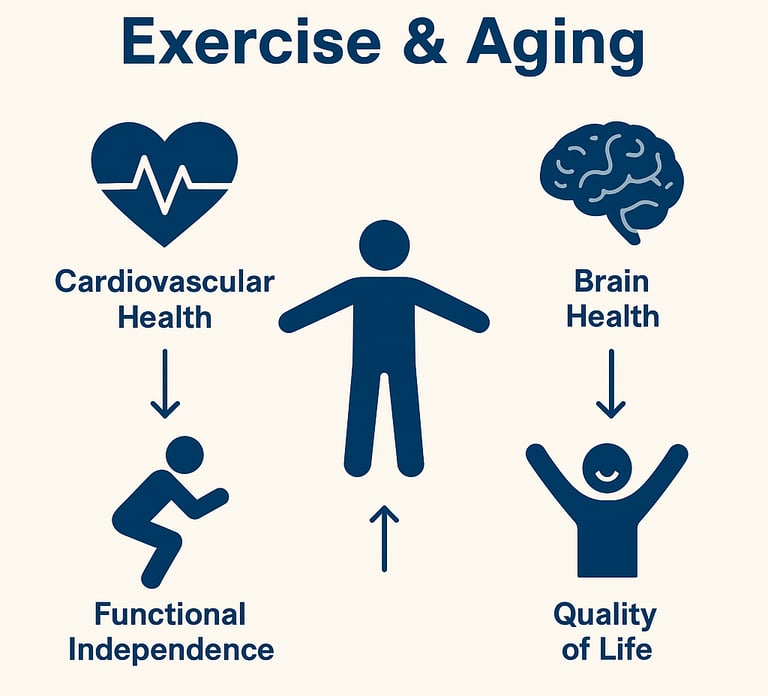 The Complete Guide to Exercise for Seniors: Stay Strong, Healthy, and Independent
