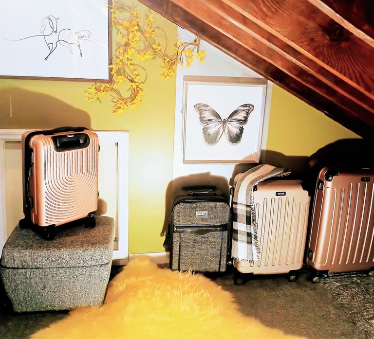travel wardrobe professional luggage packing personal color color palette www.avetsprecision.com