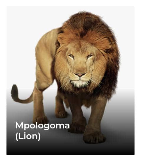 mpologoma clan