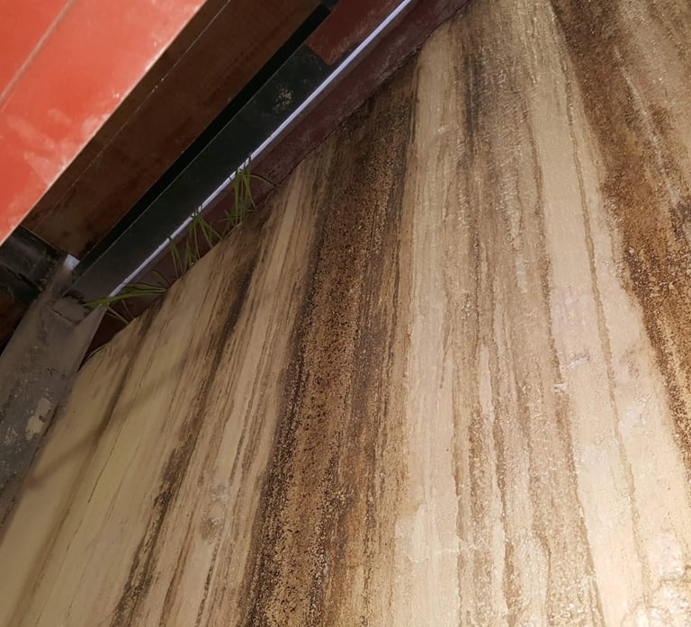Lateral Damp