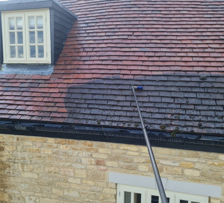 Roof cleaning