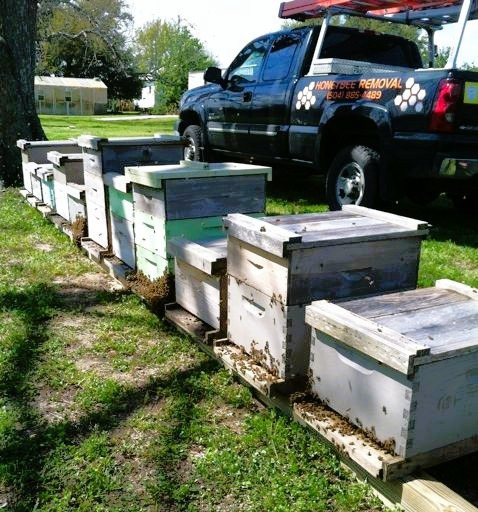 JP's bee removal truck at one of his bee yards