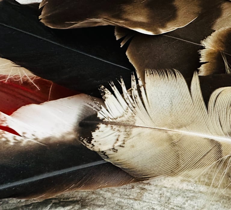 Soins énergétiques complémentaires à la médecine conventionnelle pour enfants, adultes et séniors