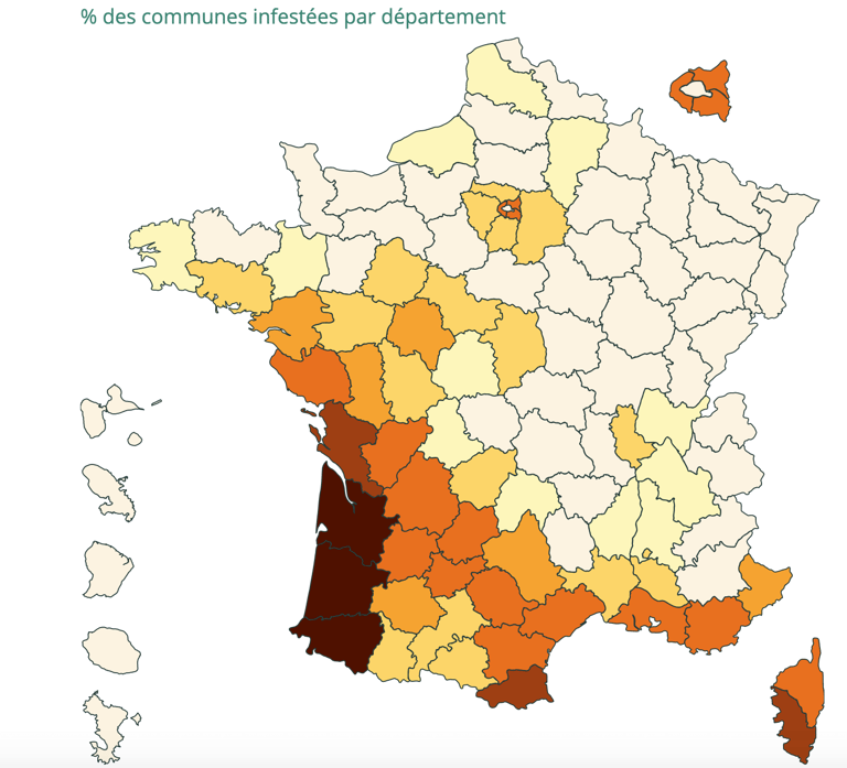 carte de France infestation termites