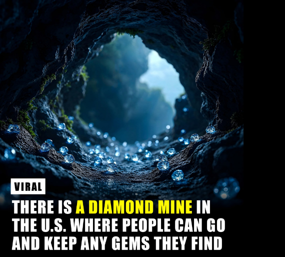 arkansas-diamond-mine.jpg