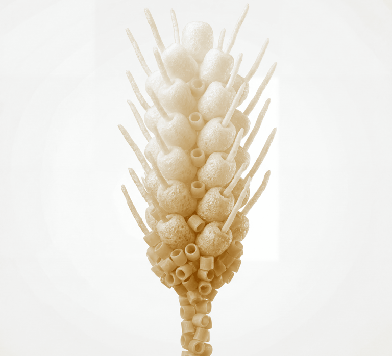 Wheat stalk sculpture made of various pasta shapes and foam pieces against a white background.