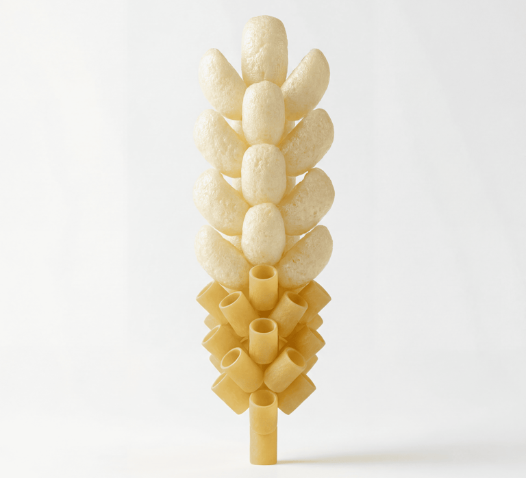 A creative arrangement of dry pasta tubes and puffy corn snacks shaped like a wheat stalk on a white background.