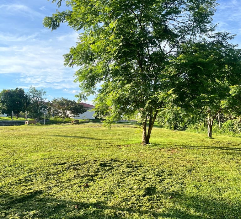 Mantenimiento de jardin