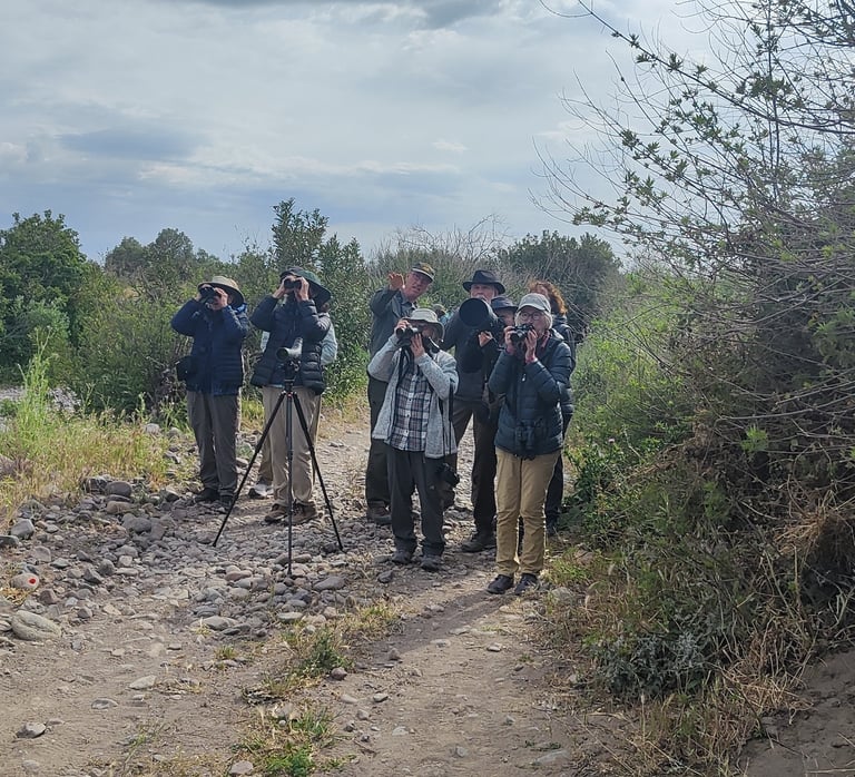 a group of people walking on a dirt road birdwatching