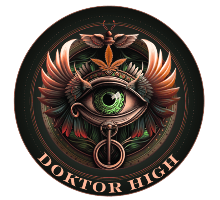 Doktor High logo