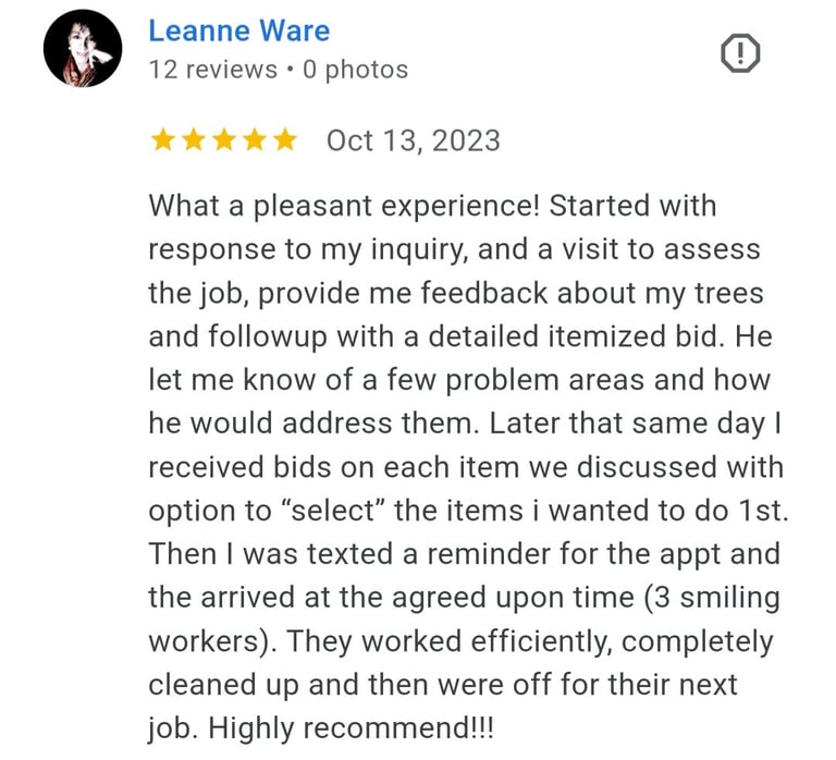 review from dm tree customer in overland park kansas. safe reliable