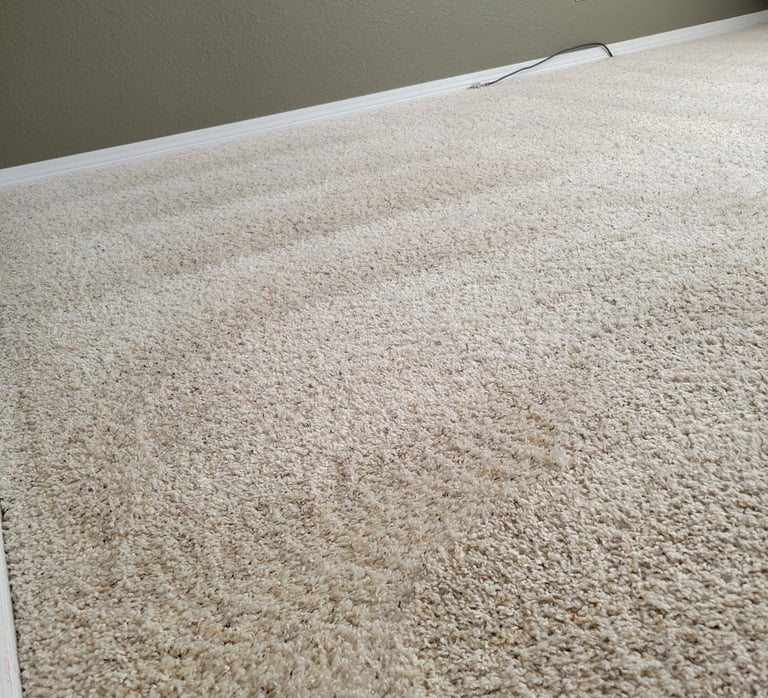 clean white carpet king organic clean