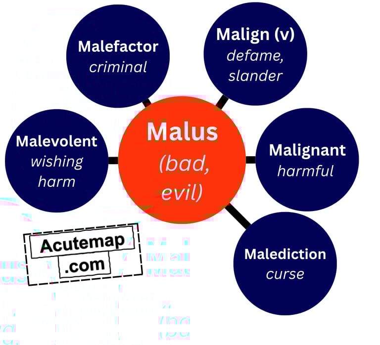 Malus root word SSC UPSC