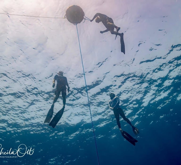 Freediving on Curacao