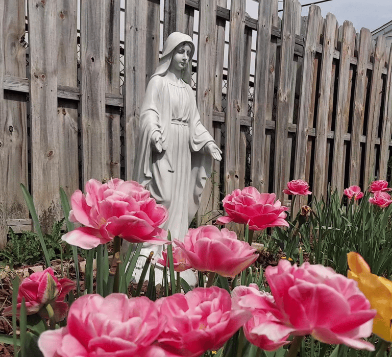 prayer garden Mary image