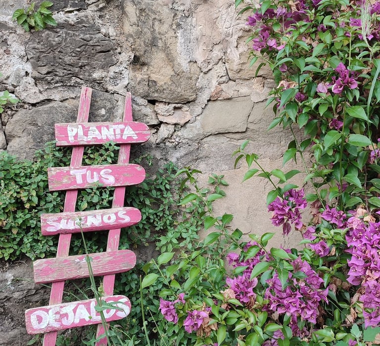 Bild einer Hauswand mit Bougainvila-Bewuchs. Auf einer angelehnten rosafarbene Leiter stehen Worte