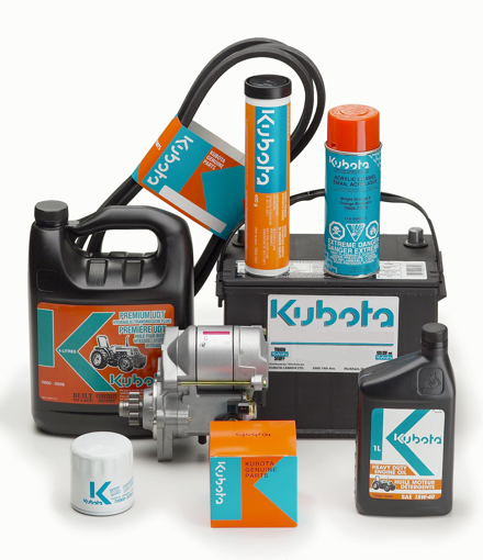 Ricambi originali Kubota Goldoni