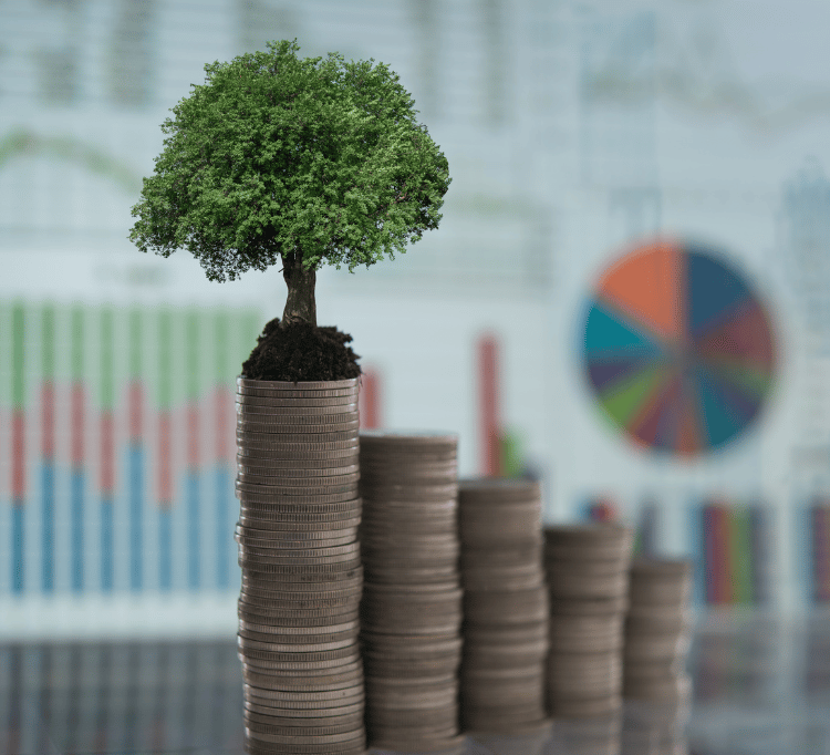 Equity on Renewable