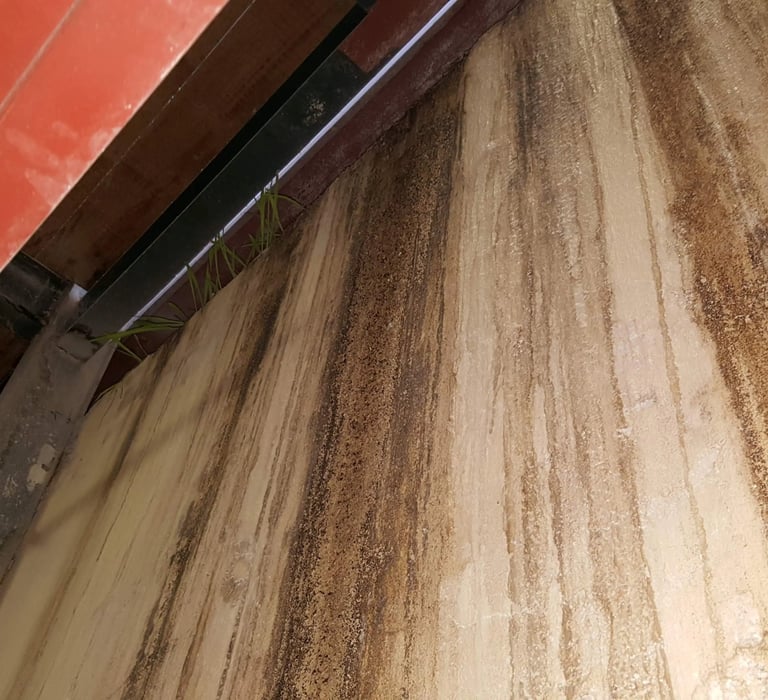 Lateral Damp
