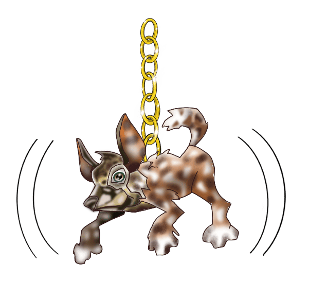 African Wild Dog
