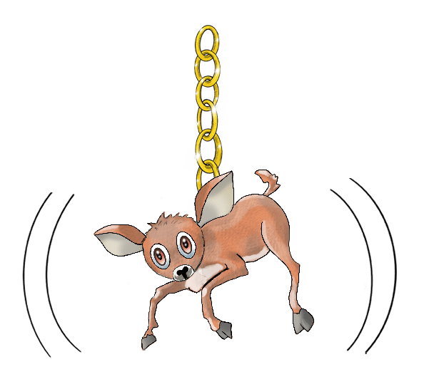 Bawean Deer
