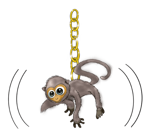 Black Spider Monkey