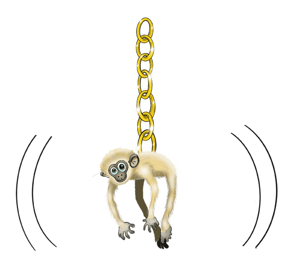 Hainan Gibbon