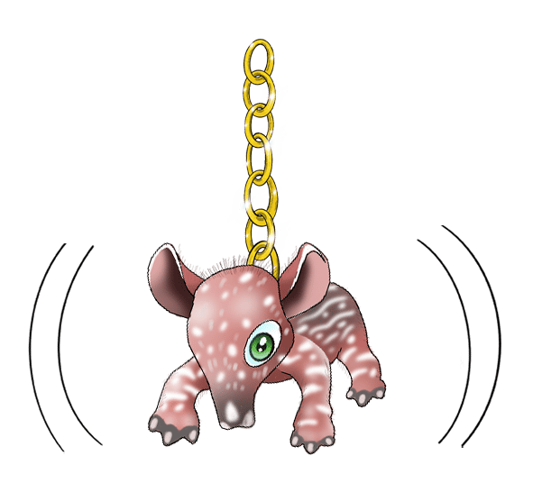 South American Tapir