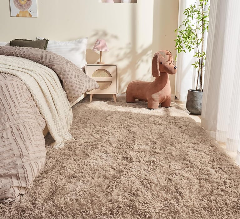 Fluffy Area Rugs for Living Room