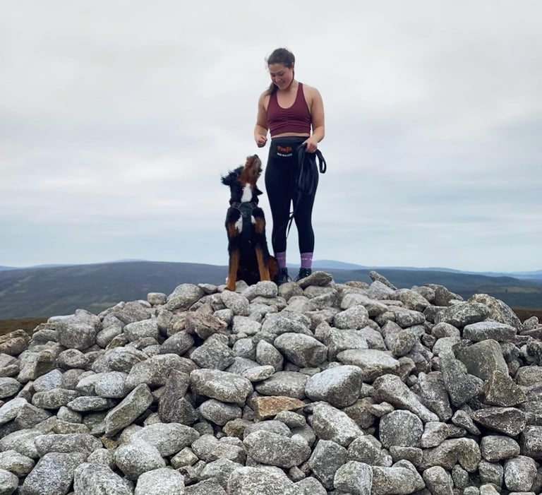 Murphy the Bernedoodle out for a mountain walk while pet sitting him