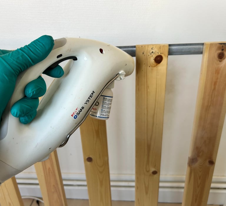 Société traitement des punaises de lit à Valence