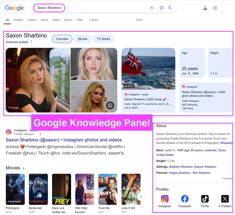 Individual Google Knowledge Panel