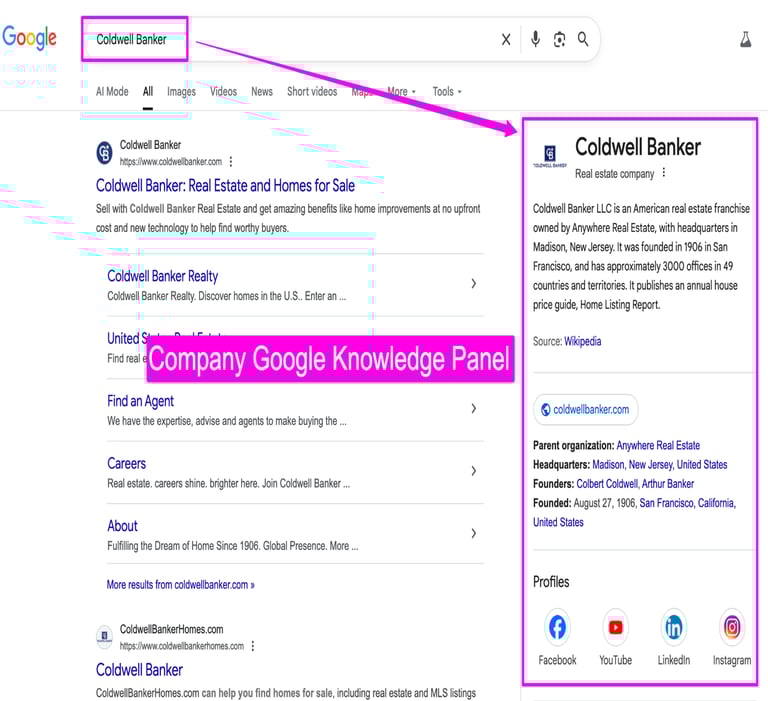 Company Google Knowledge Panel