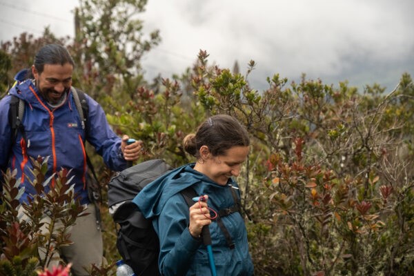 Smiling hikers with backpacks and trekking poles hiking through lush mountain vegetation.
