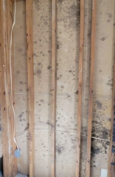 Mold discovered inside wall cavity