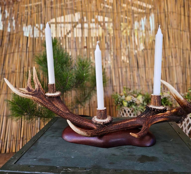 Deer antler candle holder