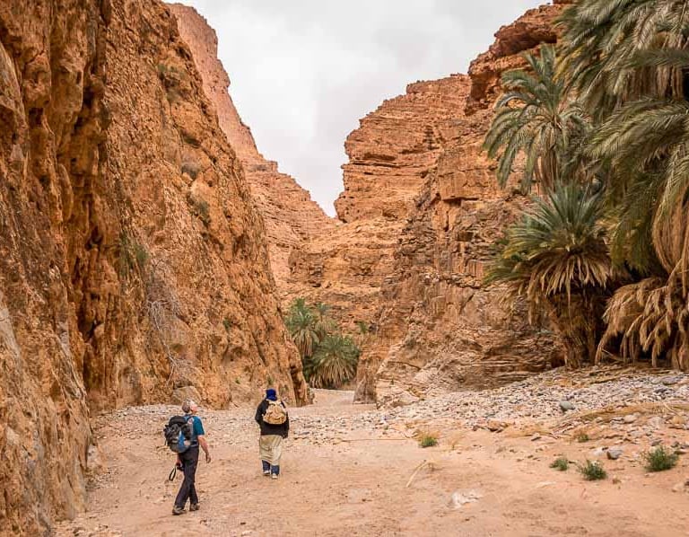 Soul of nomads - Travel Guides - Top Destinations to Visit in Morocco in 2025 - Dades Valley & Todra Gorges
