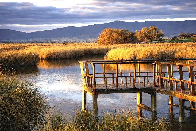 visita guiada tablas de daimiel