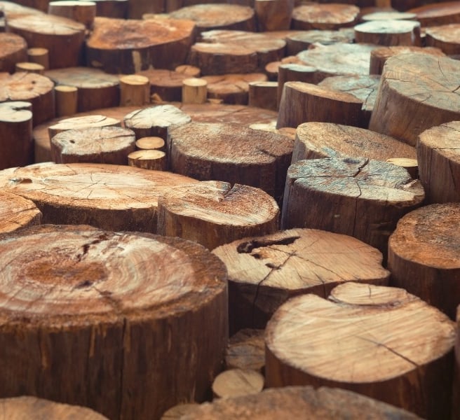 TREE-MENDOUS Tree Service