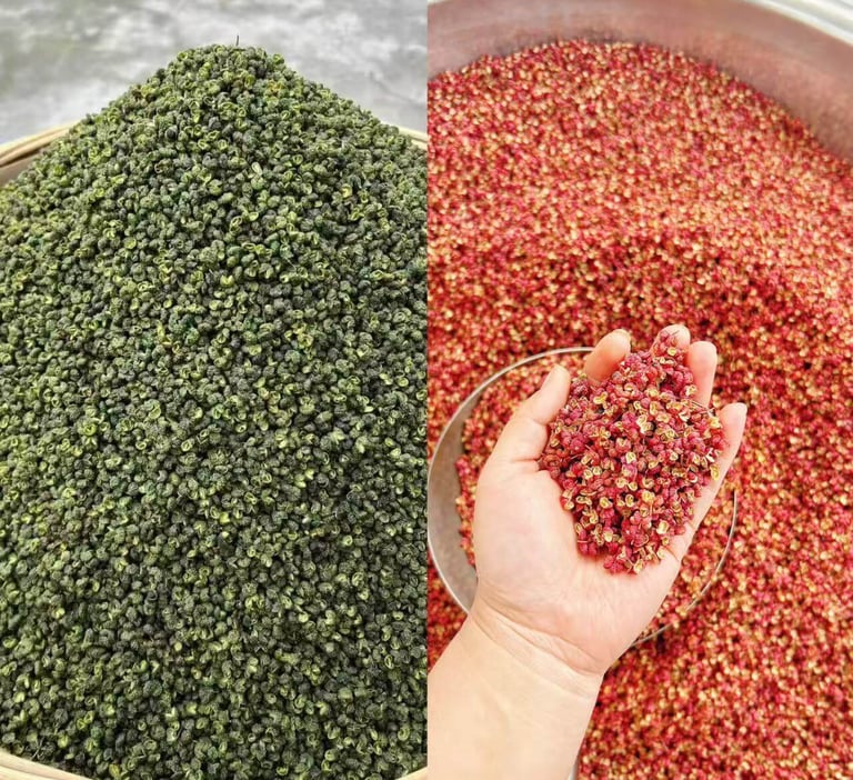 Comparison of whole green and red Sichuan peppercorns, dried authentic Chinese spices for cooking.