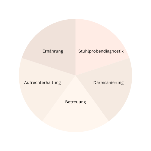 Infografik mit den fünf Schwerpunkten der Arbeit von Kristina Spieß: Ernährungsberatung für den Hund