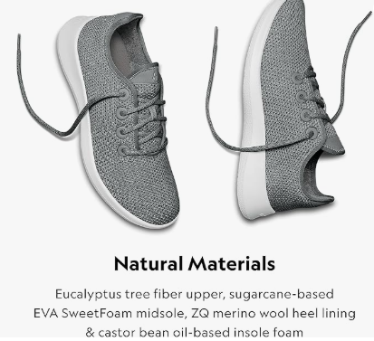 a pair of allbirds tree runners shoes