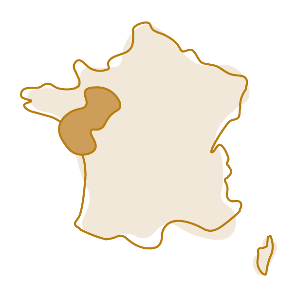 carte de france