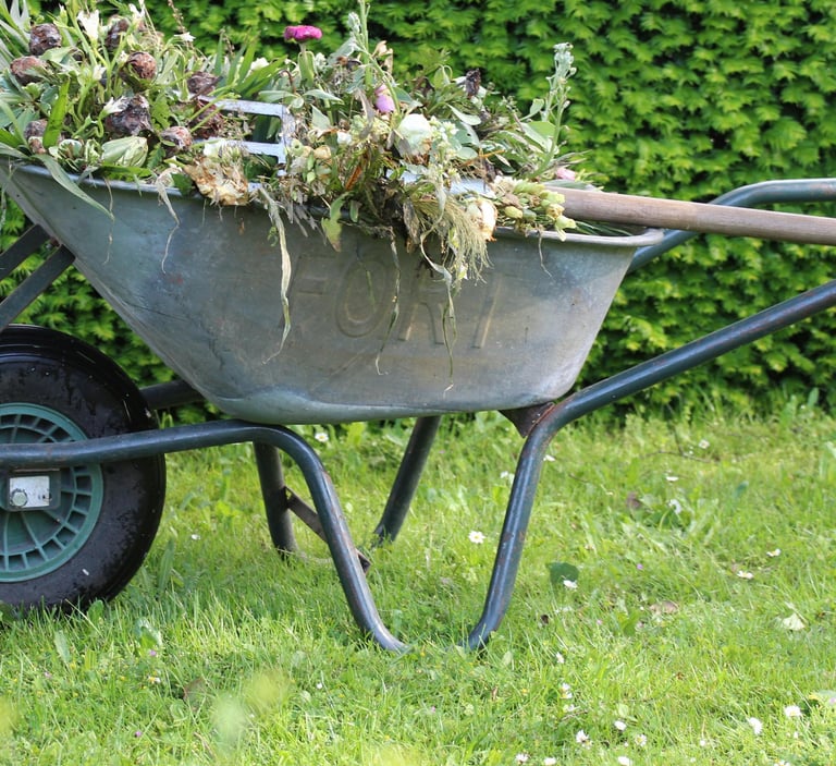 a wheelbarrow filled with plant clippings in a garden